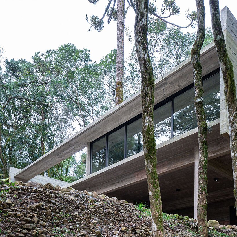 卢西亚诺·勒纳·巴索 (luciano lerner basso) 设计的这座“福图纳塔之家”中，有一棵树生长在巴西