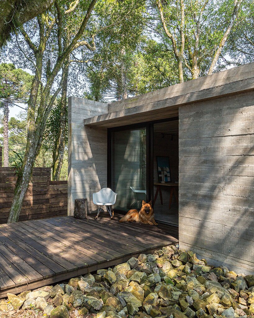 卢西亚诺·勒纳·巴索 (luciano lerner basso) 设计的这座“福图纳塔之家”中，有一棵树生长在巴西