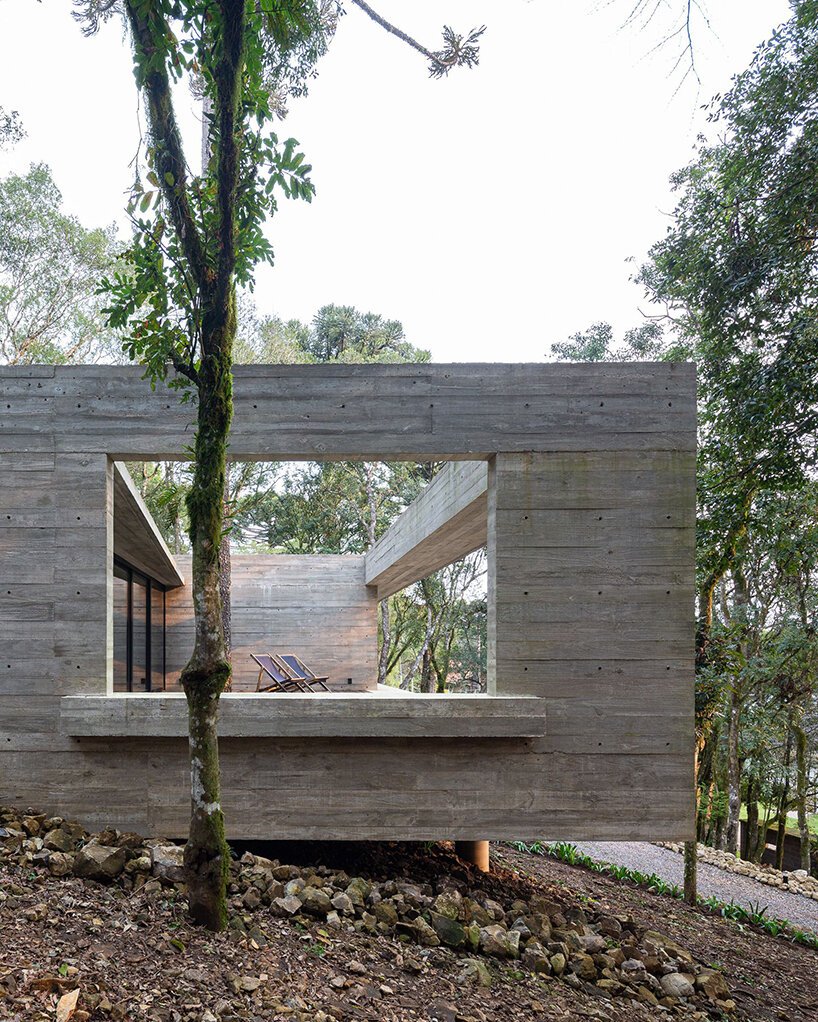 卢西亚诺·勒纳·巴索 (luciano lerner basso) 设计的这座“福图纳塔之家”中，有一棵树生长在巴西