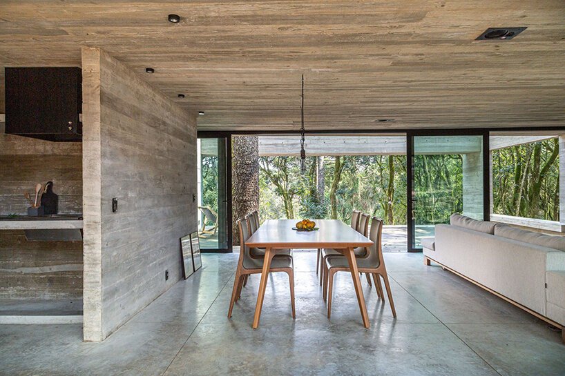 卢西亚诺·勒纳·巴索 (luciano lerner basso) 设计的这座“福图纳塔之家”中，有一棵树生长在巴西