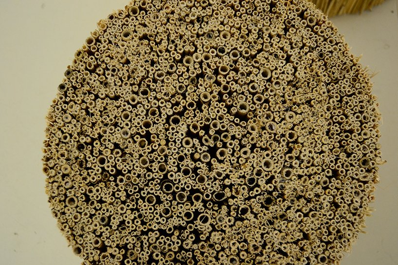 采访弗朗西斯·凯雷，了解他独特的造土技术