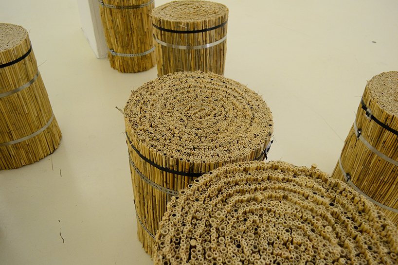 采访弗朗西斯·凯雷，了解他独特的造土技术