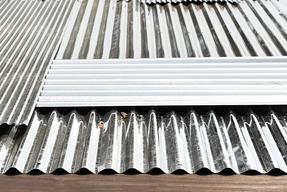 威尼斯双年展泰国馆研究大象和人类的共享建筑