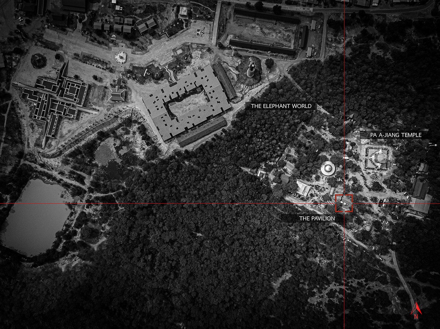 威尼斯双年展泰国馆研究大象和人类的共享建筑