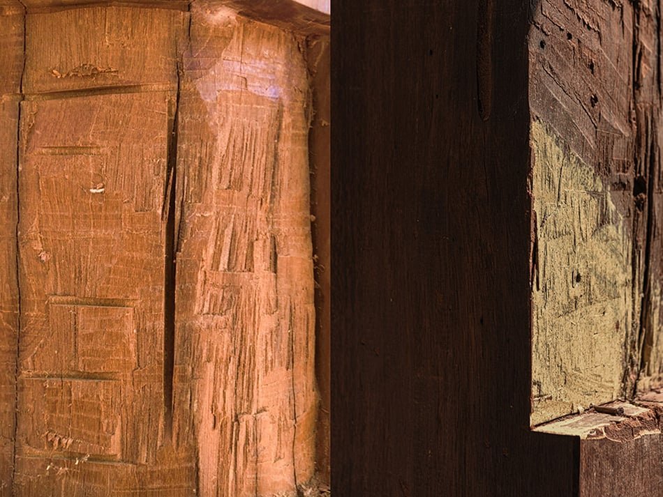 威尼斯双年展泰国馆研究大象和人类的共享建筑