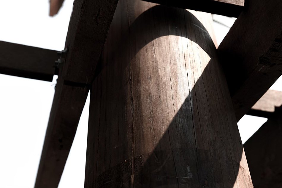 威尼斯双年展泰国馆研究大象和人类的共享建筑