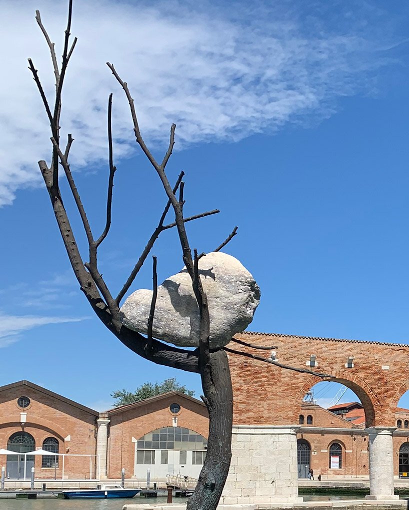 a tree planted in water at the venice biennale represents the wisdom of listening