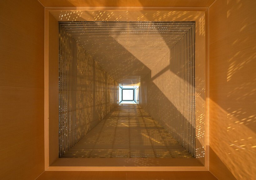 中国水杉林 GOA 餐厅的金字塔形平截头体群居首位