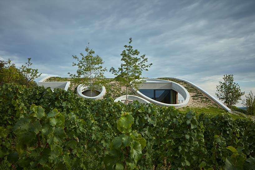gurdau winery emerges as a ripple in the undulating landscape of kurdějov in czech republic