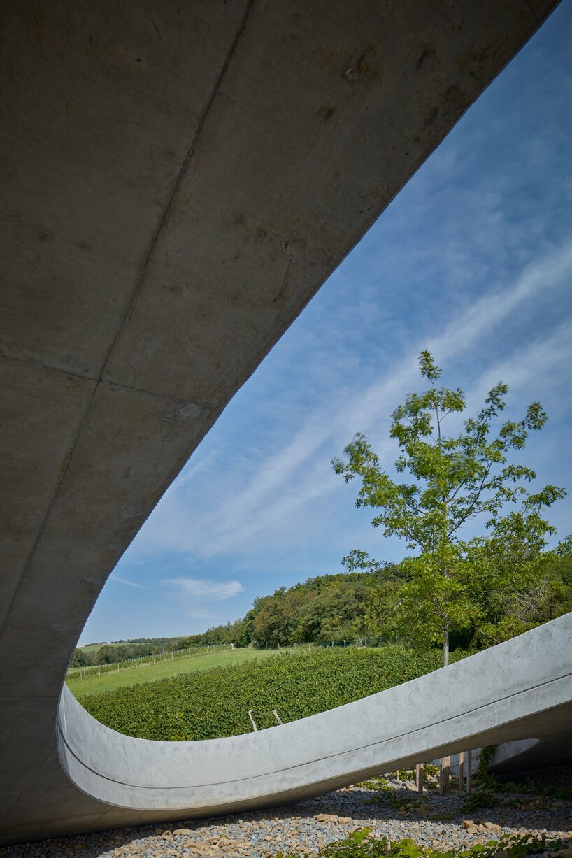 gurdau winery emerges as a ripple in the undulating landscape of kurdějov in czech republic