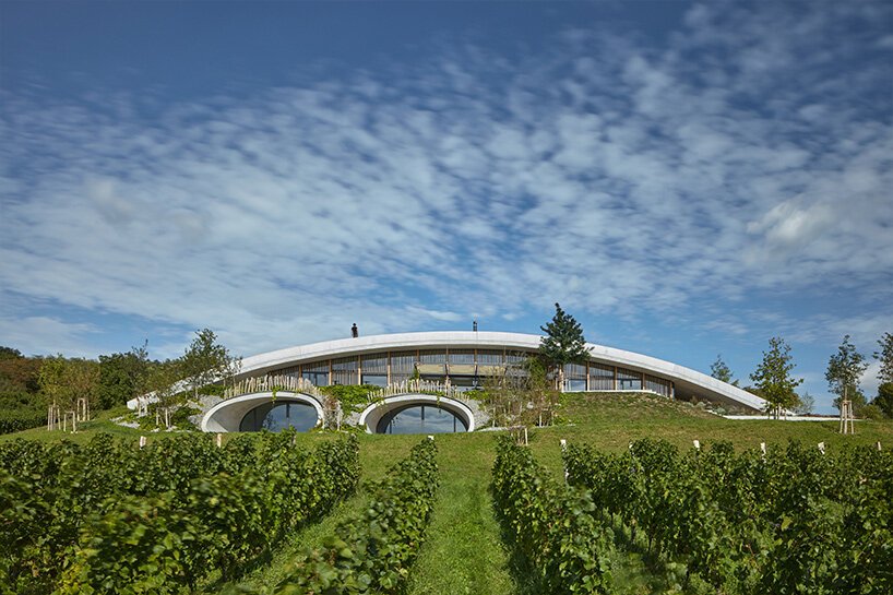 gurdau winery emerges as a ripple in the undulating landscape of kurdějov in czech republic