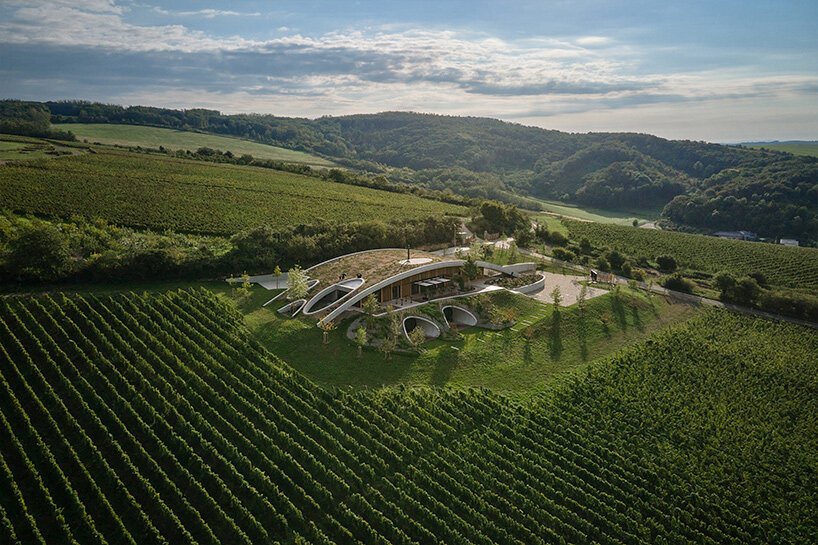 gurdau winery emerges as a ripple in the undulating landscape of kurdějov in czech republic