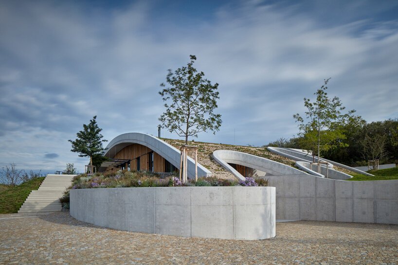 gurdau winery emerges as a ripple in the undulating landscape of kurdějov in czech republic