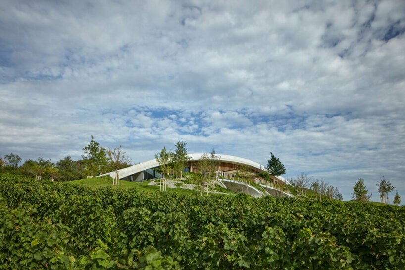 fostering a direct contact with the landscape