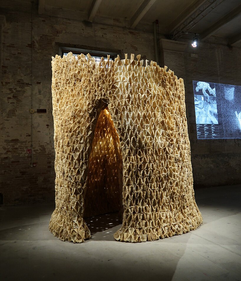 采访哈希姆·萨基斯 (Hashim Sarkis)，了解他策划的 2021 年威尼斯建筑双年展