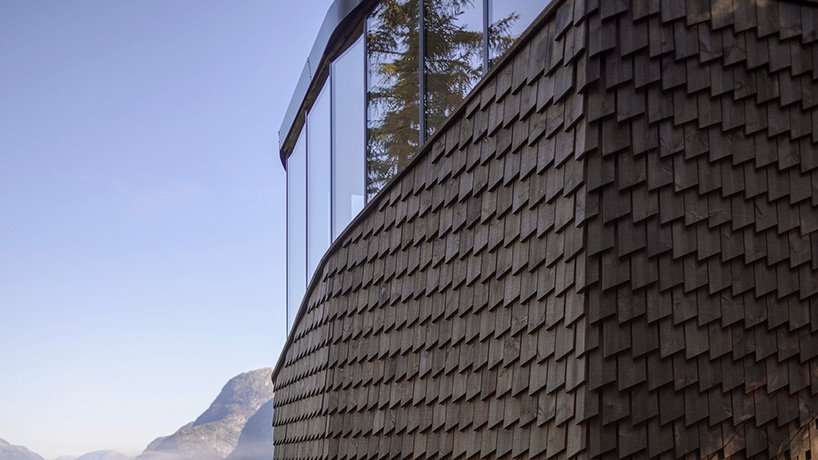 海伦和哈德将木巢树屋固定在挪威的活松树上