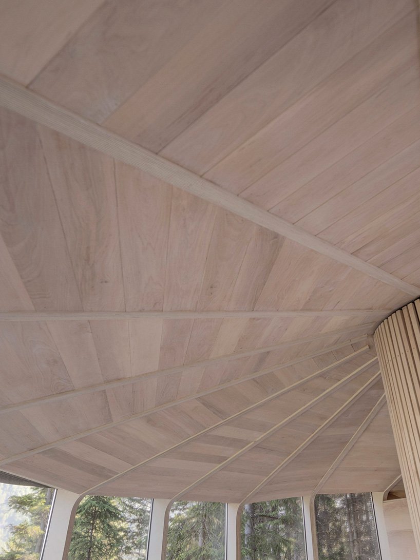 海伦和哈德将木巢树屋固定在挪威的活松树上