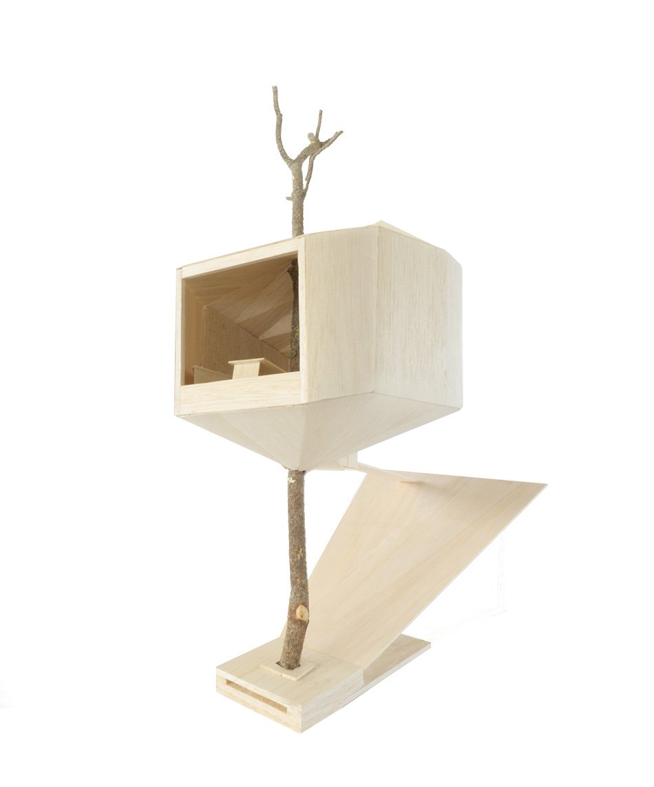 海伦和哈德将木巢树屋固定在挪威的活松树上