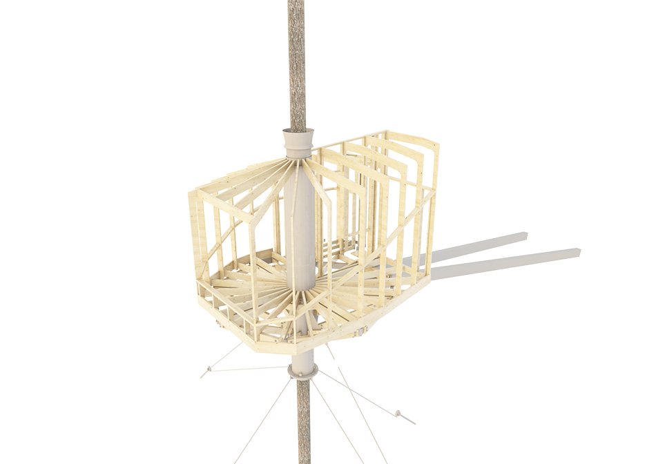 海伦和哈德将木巢树屋固定在挪威的活松树上