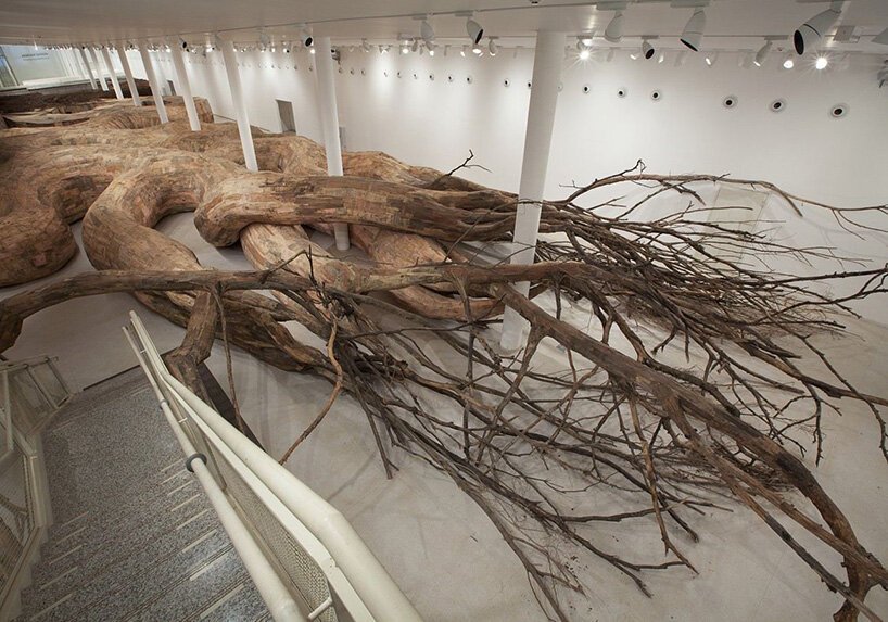 rooted in nature, henrique oliveira reflects on intervening in the fabric of reality