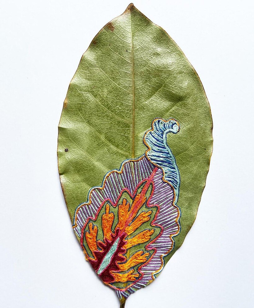 Hillary Waters Fayle 针迹 + 绣有植物图案的叶子