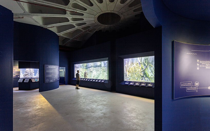 霍普金斯建筑师事务所在阿联酋完成了海龟和野生动物保护区