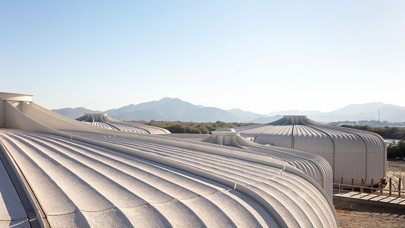 霍普金斯建筑师事务所在阿联酋完成了海龟和野生动物保护区