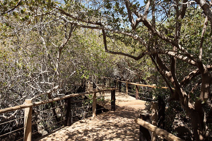 霍普金斯建筑师事务所在阿联酋完成了海龟和野生动物保护区