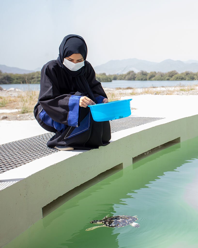 霍普金斯建筑师事务所在阿联酋完成了海龟和野生动物保护区