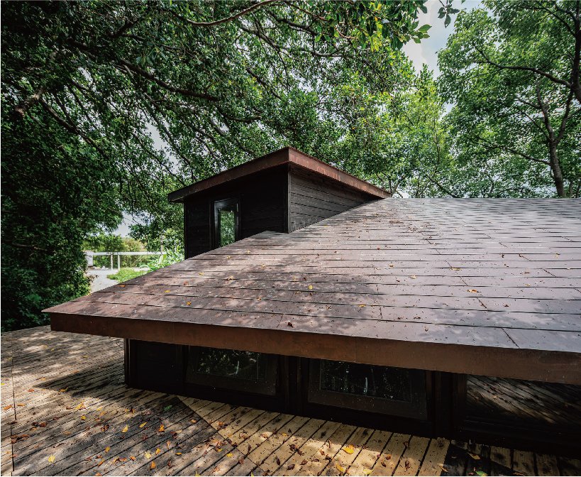 舒适的木质家庭住宅坐落在台湾的绿色森林中