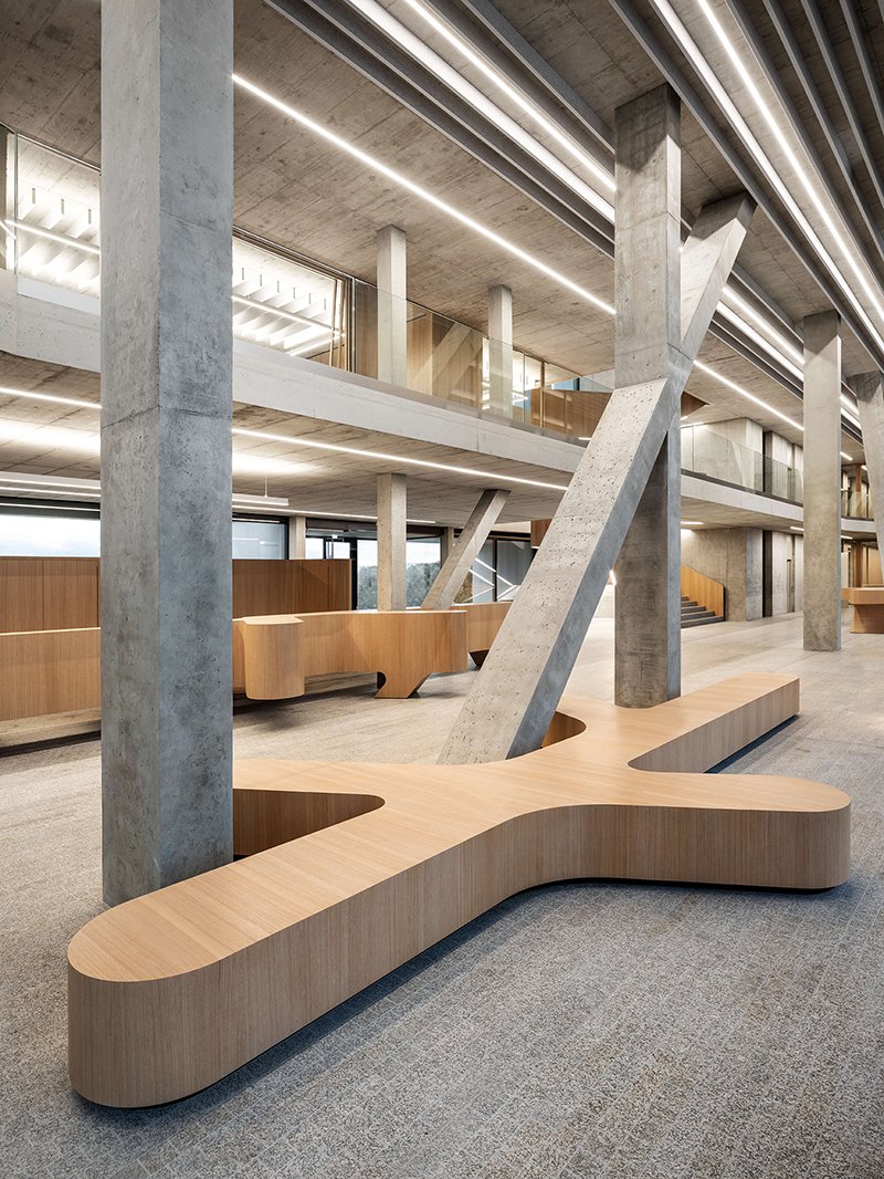 由 j. 设计的混凝土骨架包围了德国 IGZ 园区。梅耶尔 H.