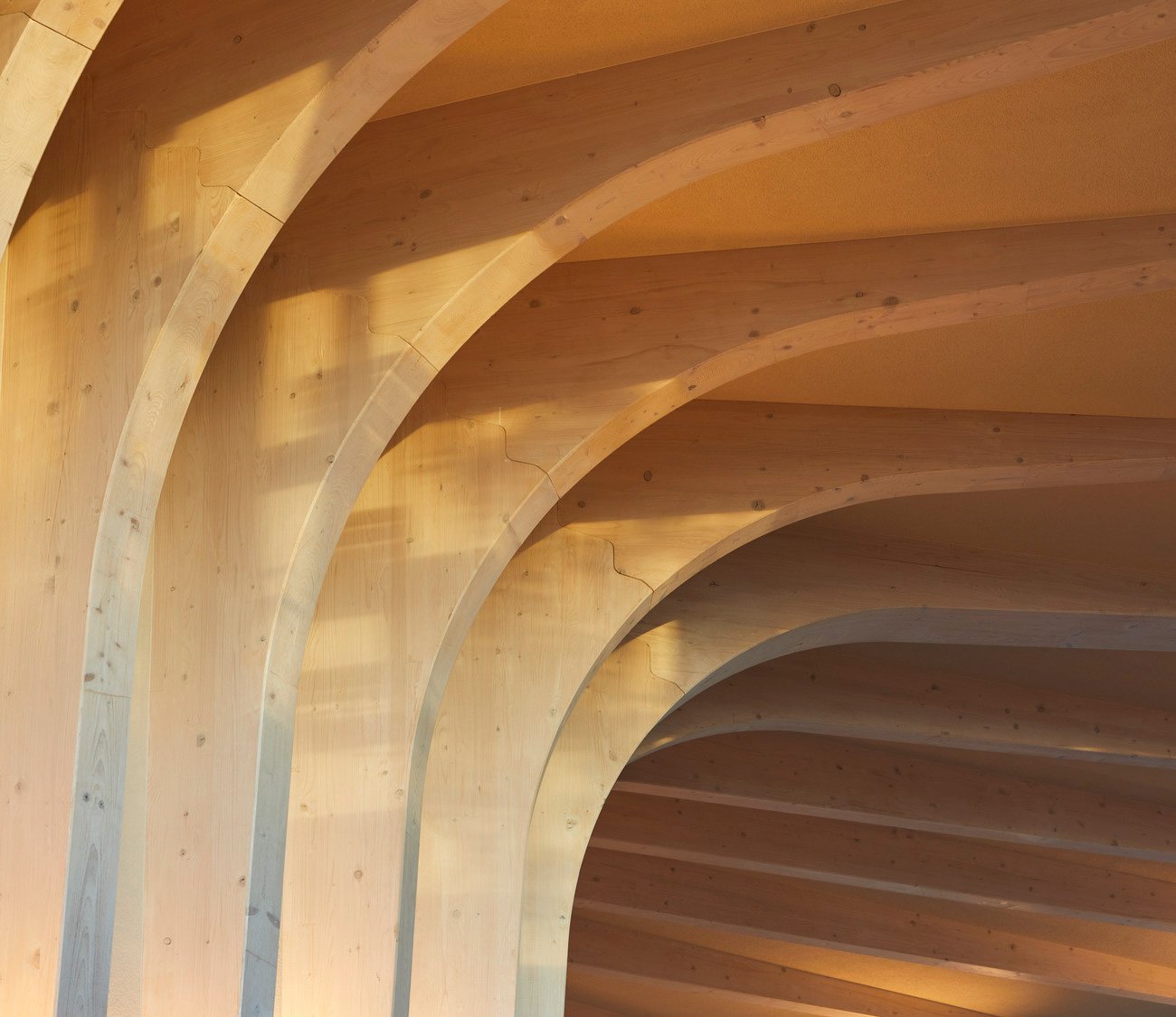 采访:詹妮弗·邦纳和哈尼夫·卡拉谈大规模木结构建筑的潜力 采访:詹妮弗·邦纳和哈尼夫·卡拉谈大规模木结构建筑的潜力