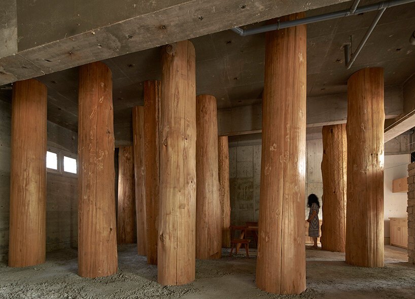 large tree trunks arrow through tomoaki uno