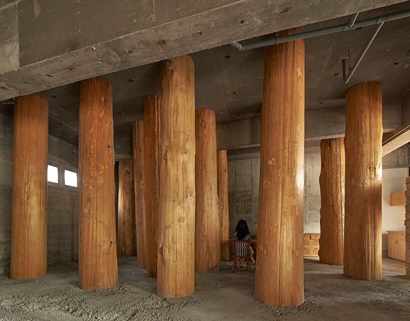 large tree trunks arrow through tomoaki uno