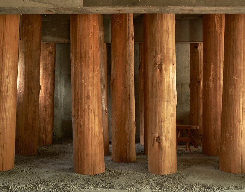 large tree trunks arrow through tomoaki uno