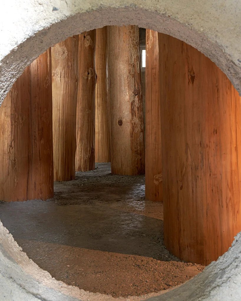 large tree trunks arrow through tomoaki uno