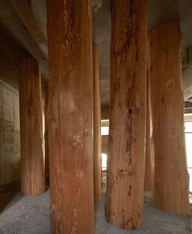 large tree trunks arrow through tomoaki uno’s peaceful forest-like office in japan