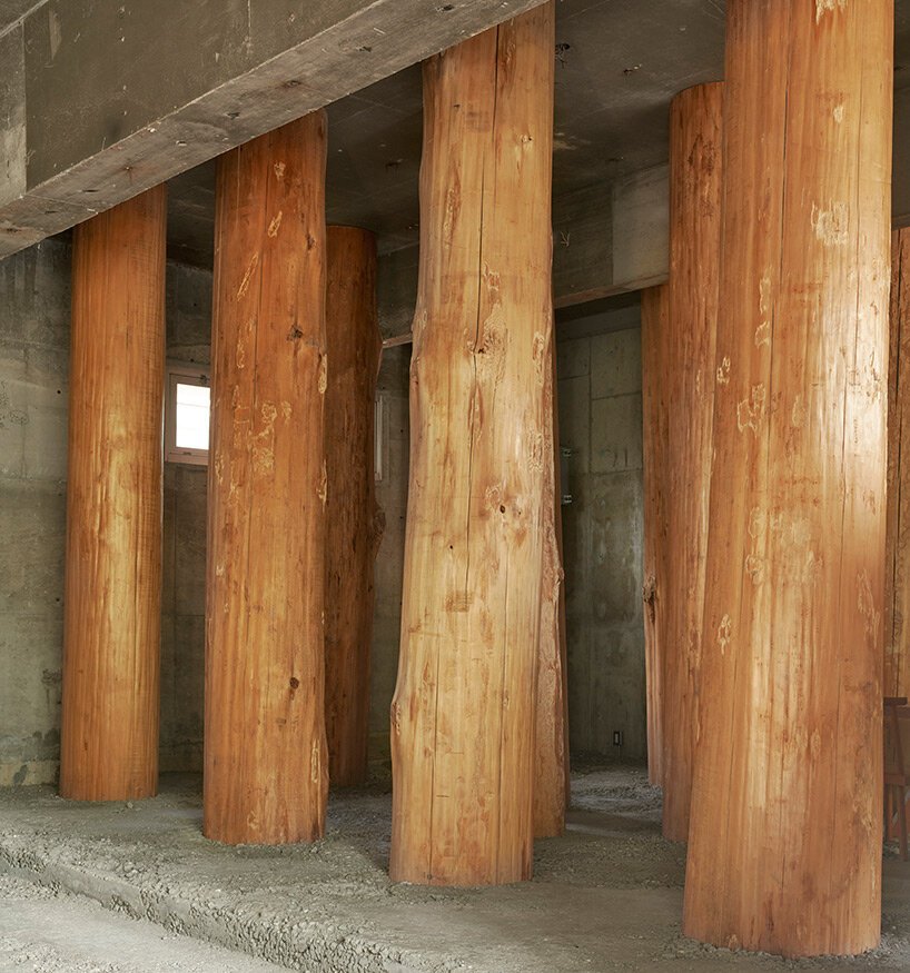 large tree trunks arrow through tomoaki uno’s peaceful forest-like office in japan