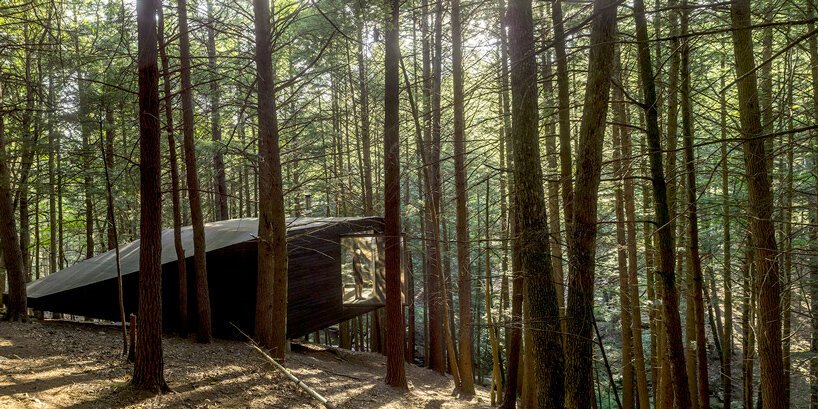 jacobschang Architecture 的“半树屋”似乎漂浮在树林中