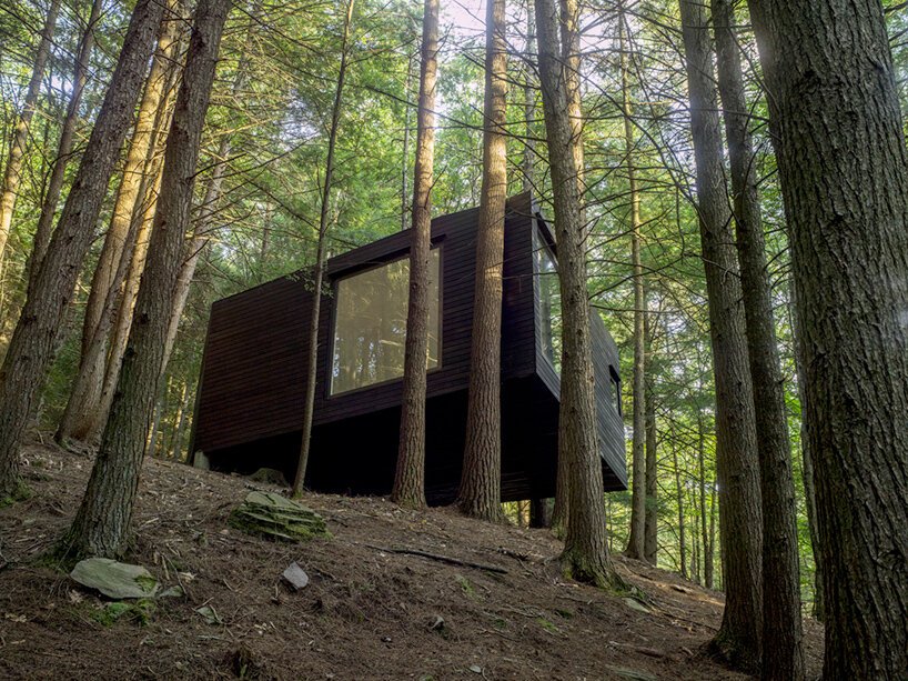 jacobschang Architecture 的“半树屋”似乎漂浮在树林中