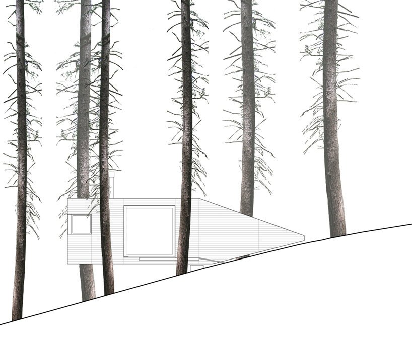 jacobschang Architecture 的“半树屋”似乎漂浮在树林中