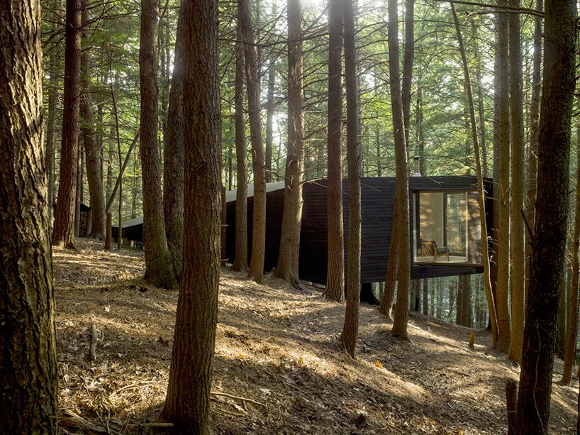 jacobschang Architecture 的“半树屋”似乎漂浮在树林中