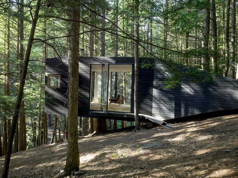 jacobschang Architecture 的“半树屋”似乎漂浮在树林中