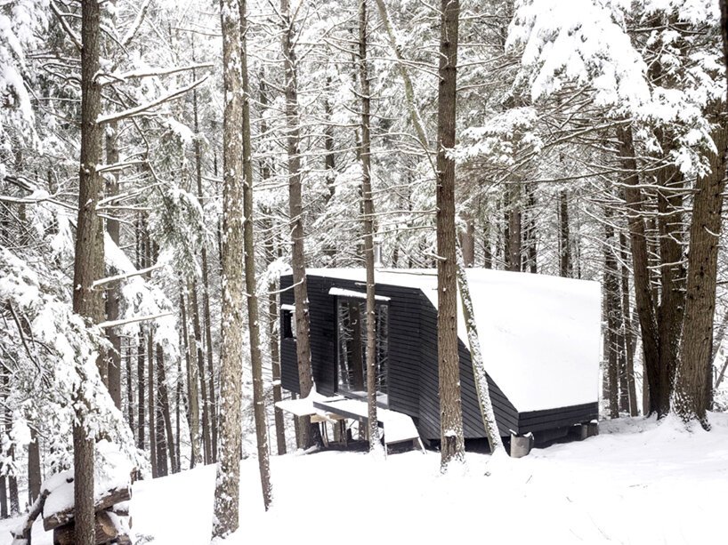 jacobschang Architecture 的“半树屋”似乎漂浮在树林中