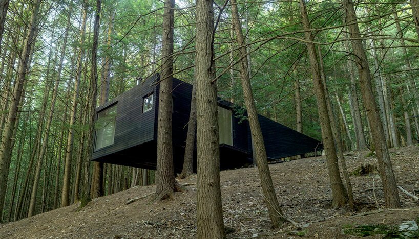 jacobschang Architecture 的“半树屋”似乎漂浮在树林中