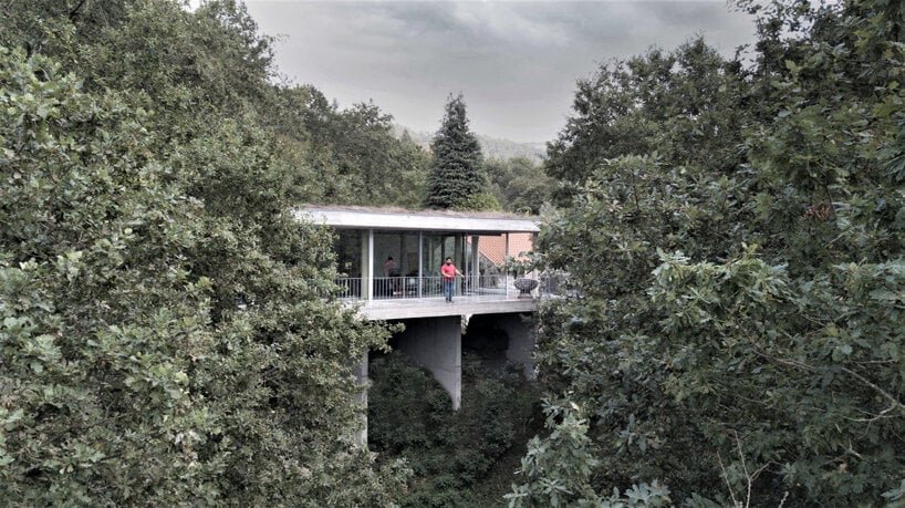 joão marques franco designs the treetop house in northern portugal designboom