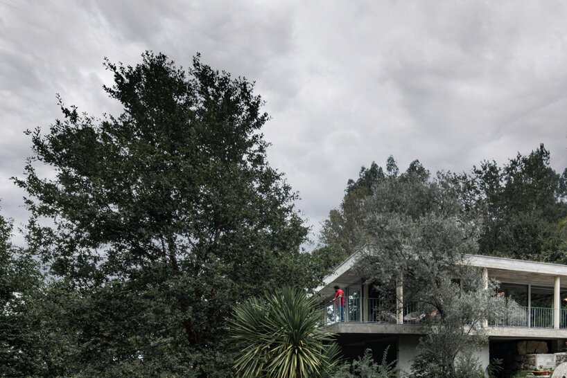 joão marques franco designs the treetop house in northern portugal designboom