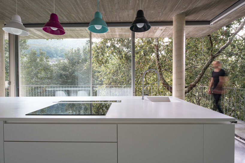 joão marques franco designs the treetop house in northern portugal designboom