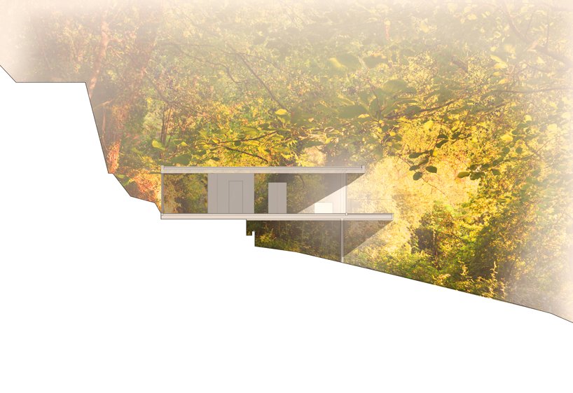 Portfolio - Corte _ Layout
