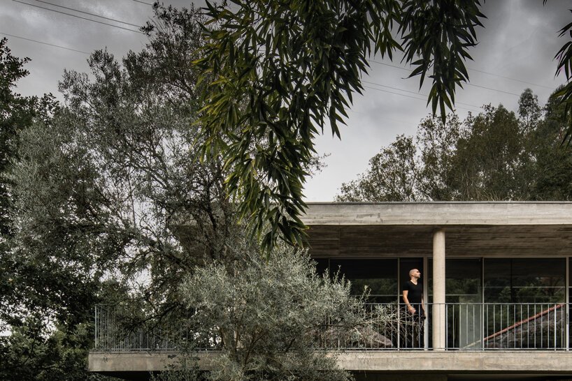 joão marques franco designs the treetop house in northern portugal designboom